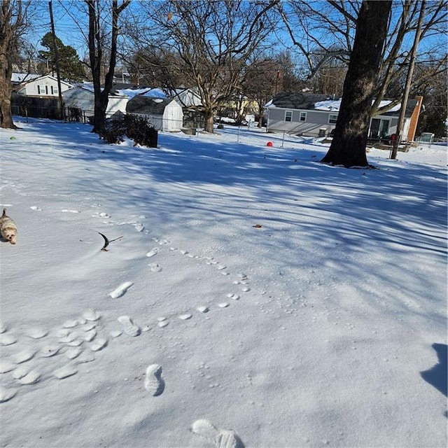 view of yard covered in snow