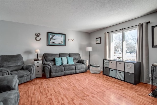 living room with a textured ceiling and light hardwood / wood-style flooring