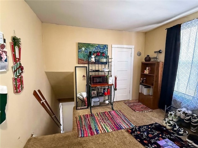 bedroom featuring carpet flooring