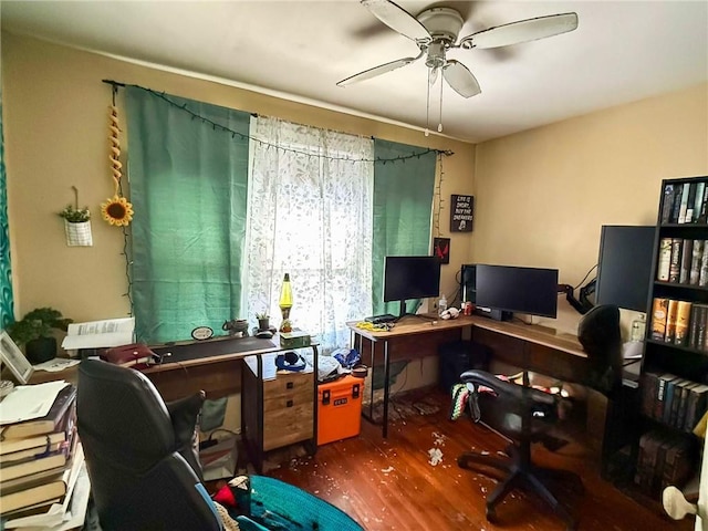 office with ceiling fan and hardwood / wood-style floors