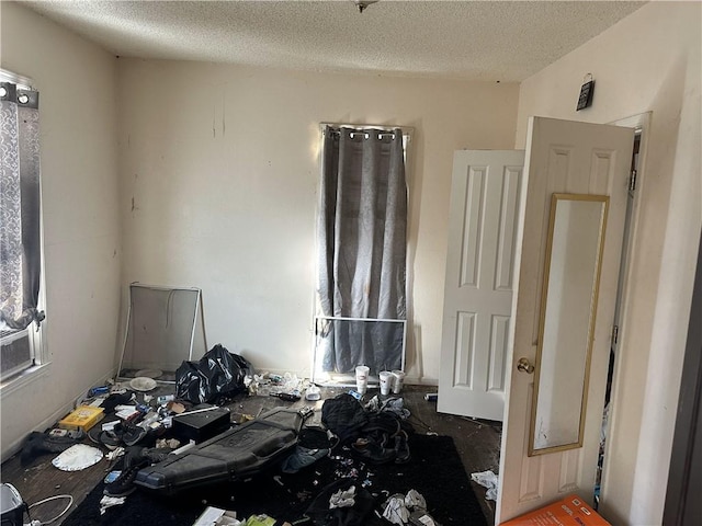 miscellaneous room featuring a textured ceiling and a healthy amount of sunlight