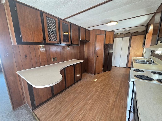 kitchen with sink, light wood-type flooring, wooden walls, and electric stove