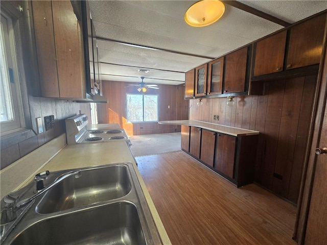 kitchen with wood walls, range with electric stovetop, ceiling fan, a textured ceiling, and sink