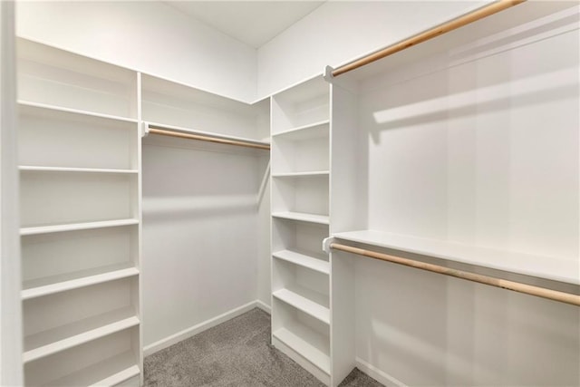 spacious closet featuring carpet flooring