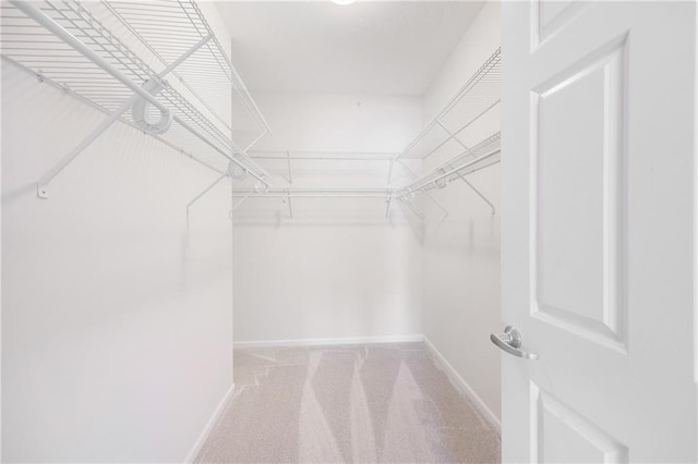 spacious closet featuring light colored carpet