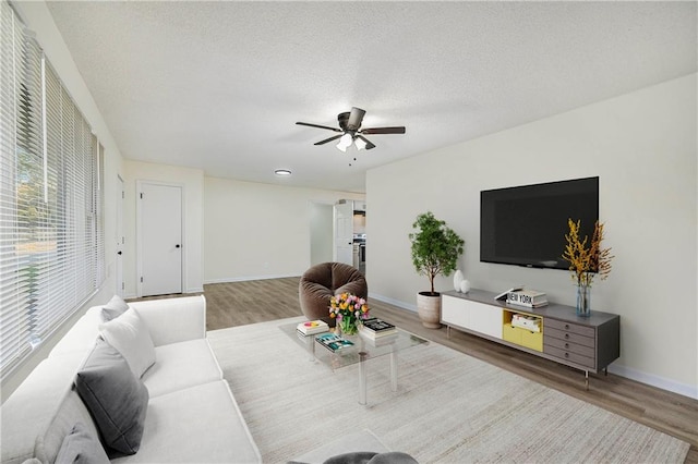 living room featuring ceiling fan, wood-type flooring, and a textured ceiling