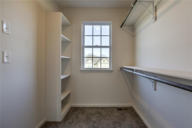 spacious closet with carpet and visible vents