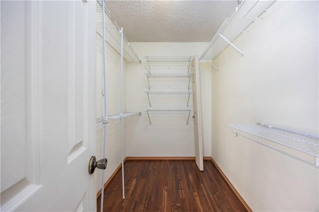 walk in closet featuring dark hardwood / wood-style floors