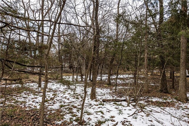 view of snow covered land