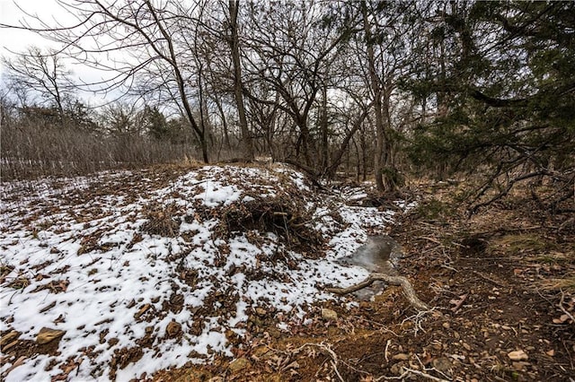 view of snowy landscape