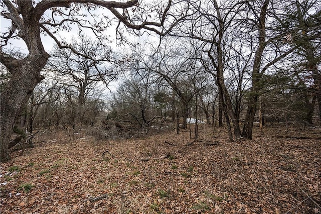 view of local wilderness