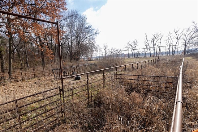 view of yard with a rural view