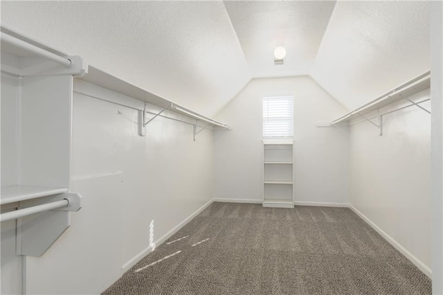 walk in closet featuring carpet flooring and vaulted ceiling