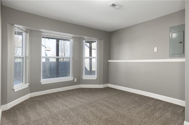 carpeted spare room featuring plenty of natural light and electric panel