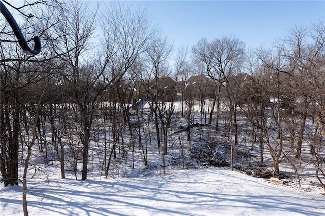 view of yard covered in snow