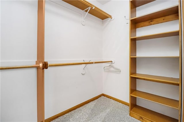 spacious closet featuring carpet floors