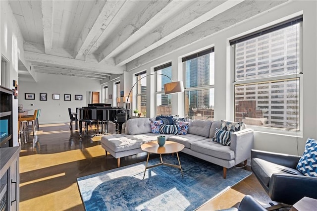 living room featuring beam ceiling