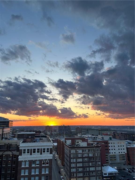 property's view of city