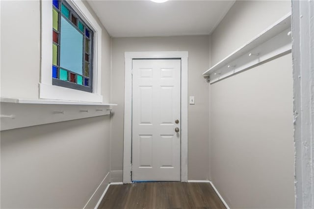 doorway featuring dark wood-type flooring