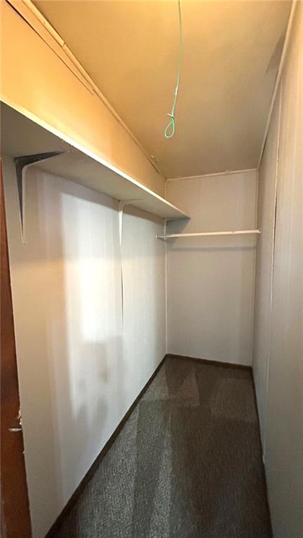 walk in closet featuring carpet floors