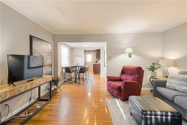 living room featuring crown molding and light hardwood / wood-style flooring