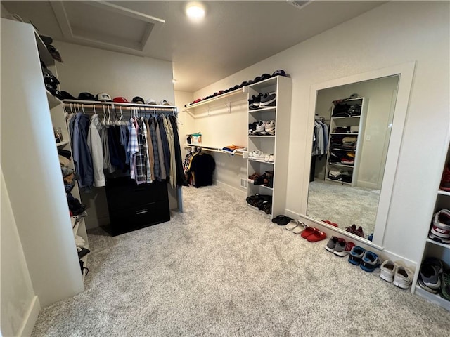 walk in closet with light carpet