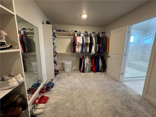 spacious closet featuring carpet flooring