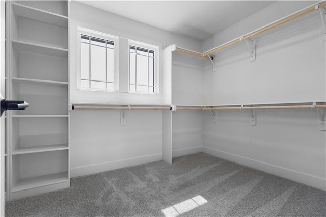17186 S Heatherwood St, Olathe, KS 66062 - walk in closet featuring carpet floors