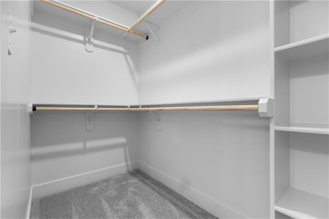 17186 S Heatherwood St, Olathe, KS 66062 - walk in closet featuring carpet floors