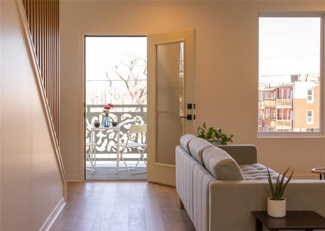 foyer featuring baseboards, a healthy amount of sunlight, and wood finished floors