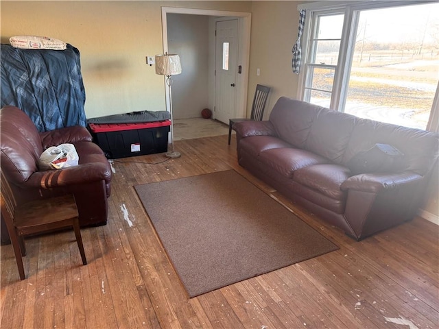 living room with hardwood / wood-style floors