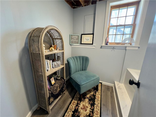 living area featuring wood-type flooring