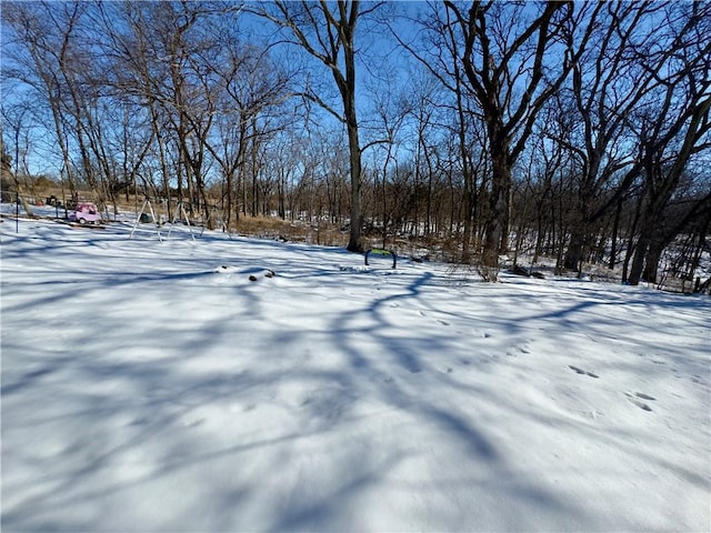 view of yard covered in snow