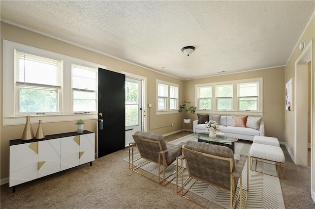 living room with crown molding, a textured ceiling, and carpet flooring