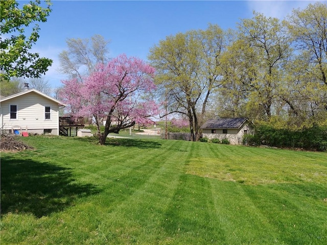 view of yard with a wooden deck and a storage unit