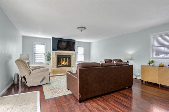 living room with dark wood-type flooring