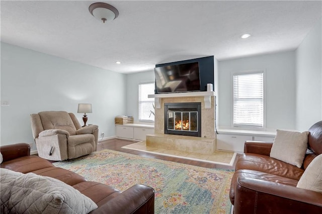 living room featuring hardwood / wood-style flooring and a fireplace