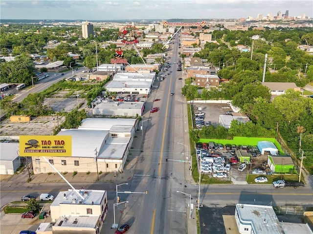 bird's eye view