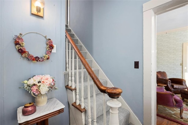 staircase featuring wood-type flooring