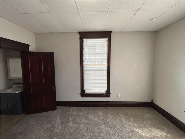 spare room featuring carpet and a drop ceiling