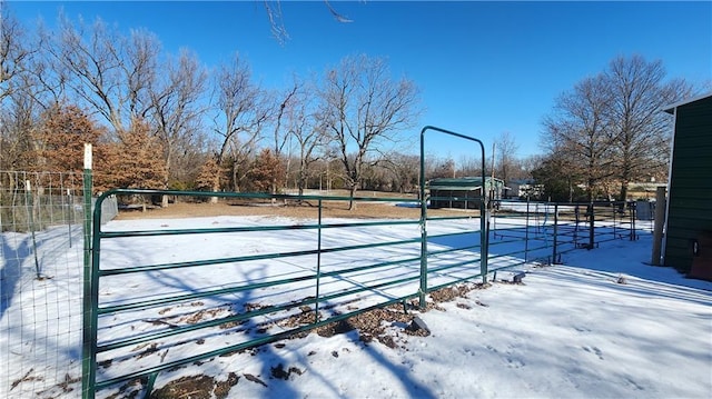 view of snow covered pool