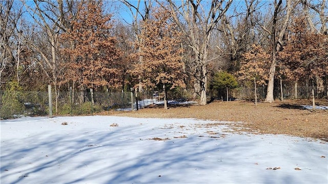 view of yard layered in snow