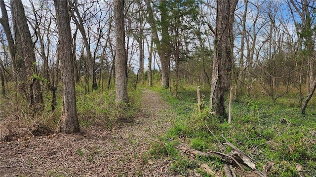 6539 Quaker Rd, Galena, KS 66739 - view of undeveloped land