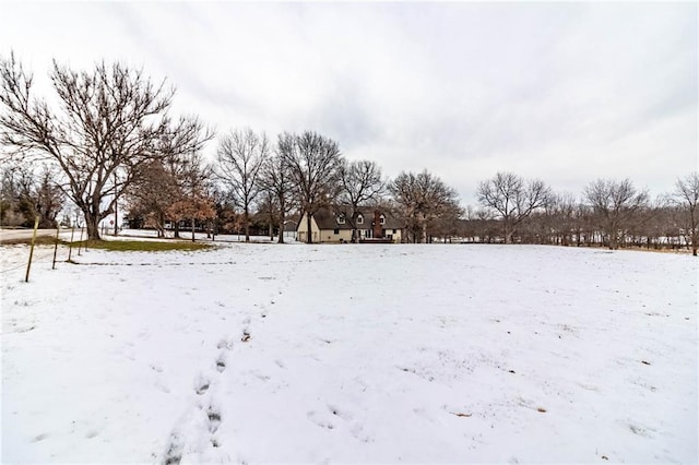 view of snowy yard