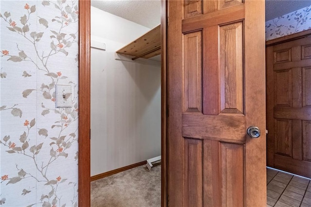 walk in closet with carpet floors