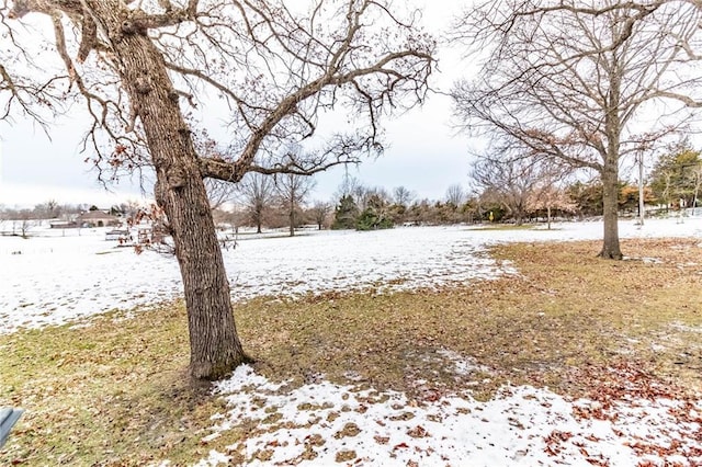 view of yard layered in snow