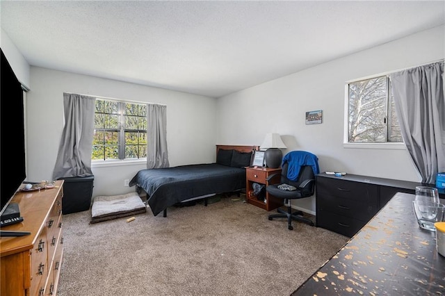 bedroom with carpet