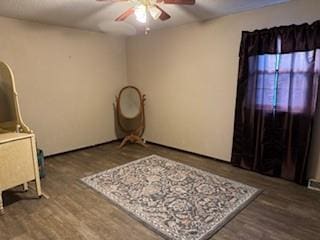 interior space featuring ceiling fan and wood-type flooring