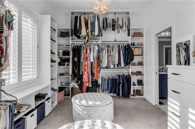 spacious closet featuring carpet flooring and a sink