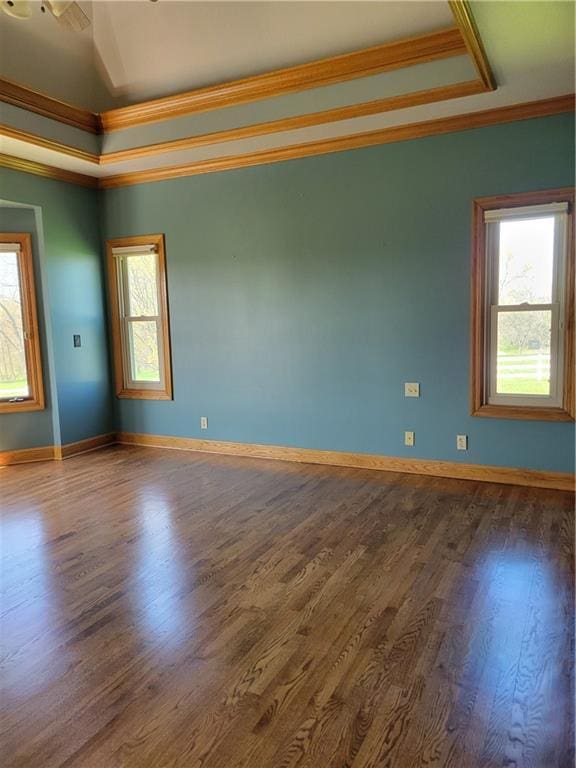 unfurnished room with crown molding, a raised ceiling, baseboards, and dark wood-style floors